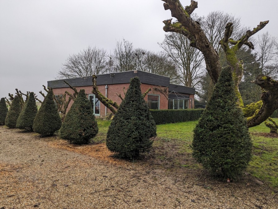 External wall cladding projects gallery & design ideas